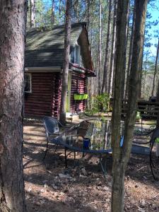 a bench in front of a cabin in the woods at East cross forest log cabin in Burketon Station