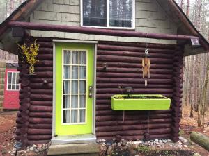 a small log cabin with a green door and a window at East cross forest log cabin in Burketon Station
