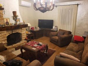 a living room with a couch and a fireplace at Green Oasis in Danilovgrad