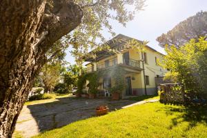 a yellow house with a tree in the yard at Casa Vacanza Capozzoli in Albanella