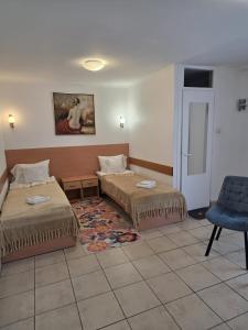 a hotel room with two beds and a chair at Pensiunea Vila Chesa in Corunca