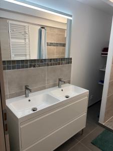 a bathroom with a white sink and a mirror at La Fraternelle in Ceyzérieu +21 photos