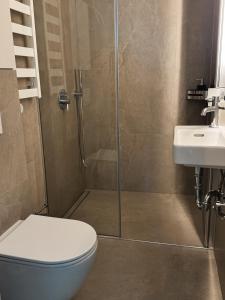 a bathroom with a shower and a toilet and a sink at Jaukus loftas Šventoji in Šventoji