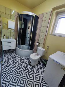 a bathroom with a shower and a toilet and sink at Apartamenty Pod Wiaduktem in Ober Wüstegiersdorf +14 photos