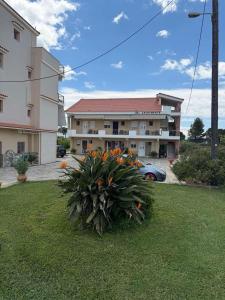 a plant in a yard in front of a building at Flo's Apartments in Missolonghi
