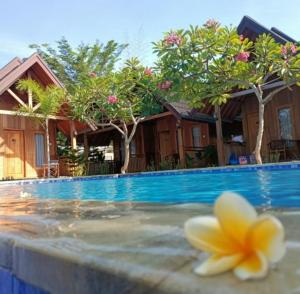 a flower in the water next to a swimming pool at Villa GHANIA in Labuanbalat