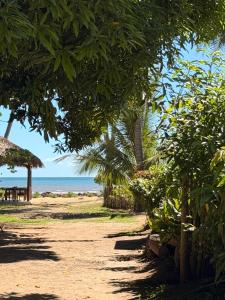 a beach with trees and the ocean in the background at Maison le Rêve in Nosy Be