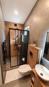a bathroom with a shower and a toilet and a sink at Dream Apartments 3B KLIMATYZACJA in Oświęcim +4 photos