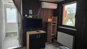 a living room with a tv and a tv stand with a tvictericter at Casa Pescărușul Vesel in Baziaş