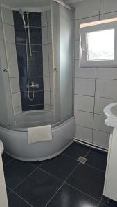 a bathroom with a shower and a sink at Casa Pescărușul Vesel in Baziaş +19 photos