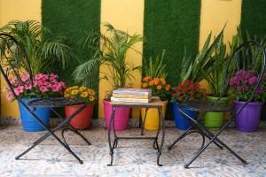a table and two chairs with flowers and plants at C 44 the local history in Jaipur