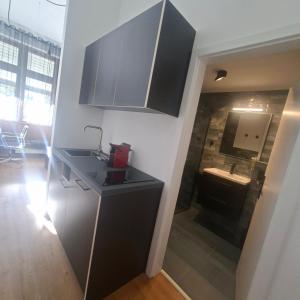 a kitchen with a sink and a counter top at Estelada Studios Unterhaching in Unterhaching +57 photos