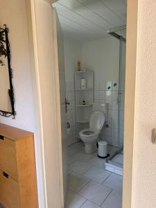 a bathroom with a toilet and a glass shower at Gemütlicher Bungalow in Canow mit Terrasse, Hof und Seenähe in Wustrow