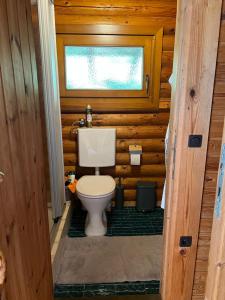 a bathroom with a toilet in a log cabin at See Paradies am Keltenberg in Wiesen +18 photos