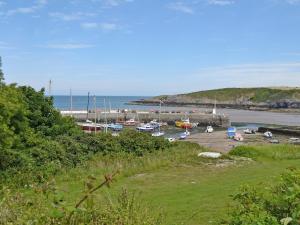 a group of boats are docked in a harbor at Quayside in Cemaes Bay