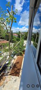 a window with a view of a tree in a yard at Rosewood Podgorica in Podgorica