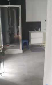 a bathroom with a shower and a sink and a mirror at Villa Mirage in Le Touquet-Paris-Plage
