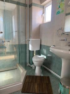 a bathroom with a toilet and a shower and a sink at Marina House in Sulina +30 photos