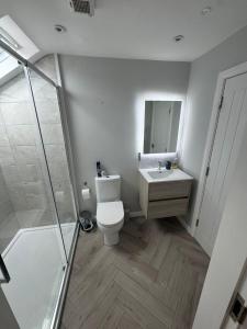 a bathroom with a toilet and a sink and a shower at West Strand Snug in Portrush +8 photos