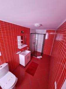 a red bathroom with a toilet and a sink at Pensiunea D&D in Făgăraş