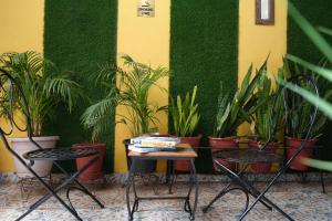 two chairs and a table in front of plants at C44thelocalhistory in Jaipur