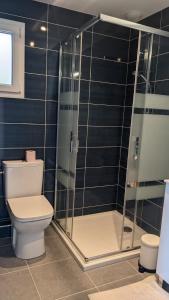 a bathroom with a toilet and a glass shower at Gîte de la Pinsonnerie in Fondettes +12 photos