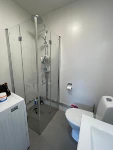 a bathroom with a glass shower and a toilet at Nordic Central Apartment in Solna