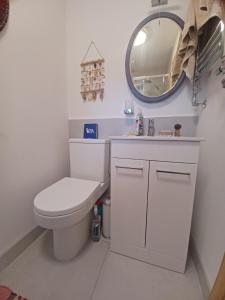 ein Badezimmer mit Toilette und Spiegel in der Unterkunft Rodali in Lyme Regis
