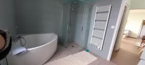 a bathroom with a bath tub and a shower at Le Gite des Sources in Lormes +19 photos