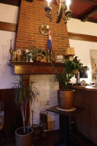 a kitchen with two potted plants on a shelf at Hotel Sphinx in Amsterdam