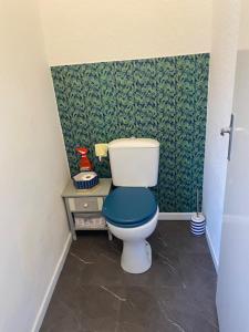 a bathroom with a toilet with a blue seat at Le Chêne in Villeneuve