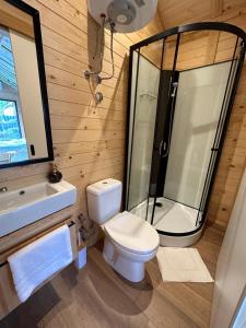 a bathroom with a shower and a toilet and a sink at Sarajevo jacuzzi sauna Forest romance lodge in Sarajevo +21 photos