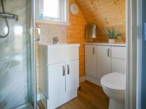 a bathroom with a toilet and a shower at Dougie's Pod in Acharacle +13 photos