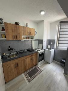 a small kitchen with a sink and a stove at Apartman Velić in Bor +4 photos