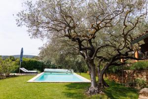 a tree next to a swimming pool in a yard at Mas de l'Olivette in Cotignac