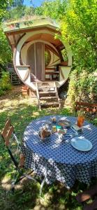 a picnic table in the yard with a house in the background at Rêve de Plume in Beaumont