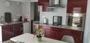 a kitchen with red cabinets and a table with a plant at Appartement Saint Sulpice la Pointe in Saint-Sulpice