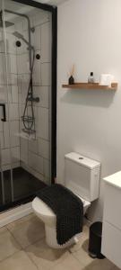 a bathroom with a shower and a toilet and a sink at Appartement Saint Sulpice la Pointe in Saint-Sulpice +9 photos
