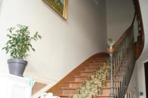 a staircase with a potted plant on the wall at Manoir de la Saône in Seurre