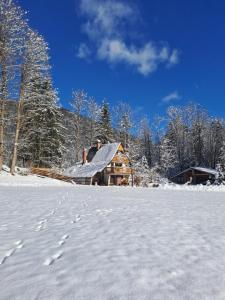 a log cabin in the snow with footprints in the snow at House Nordika in Rateče