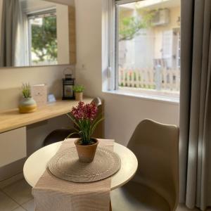 a table with a potted plant on top of it at Stelios Studios Sougia in Sougia