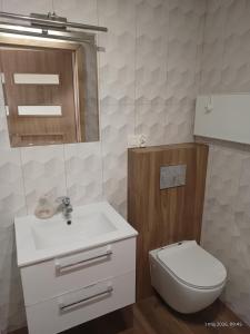 a bathroom with a white sink and a toilet at Apartamenty Sokółka II in Sokółka