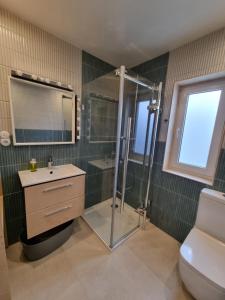 a bathroom with a shower and a sink and a toilet at Domek pod Widetą in Smerek