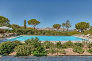 a swimming pool in the middle of a yard with trees at Villa Thimari in Protorgia