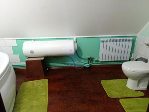 a bathroom with a toilet and a radiator at Фазенда in Bohuslav +20 photos