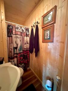 a bathroom with a toilet and a shower curtain at Little Bear Tiny Cabin in Cosby