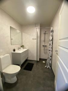 a bathroom with a toilet and a sink and a shower at Spacious House for Families & Workers in Skelleftehamn +22 photos
