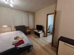 a bedroom with a bed and a desk with a television at Apartment in the Center 1 in Varna City