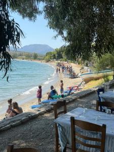 a group of people sitting on a beach at Mani Sea View Rooms in Gythio