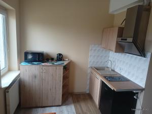 a small kitchen with a sink and a microwave at Apartamenty Sokółka II in Sokółka +19 photos
